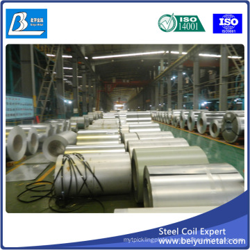 1mm Thick Galvanized Steel Sheet in Coil Price